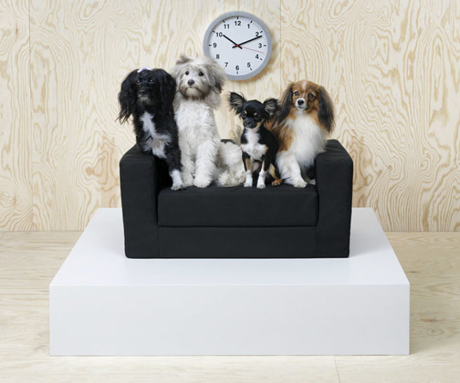 IKEA launches new pet range so cats and dogs can relax in style