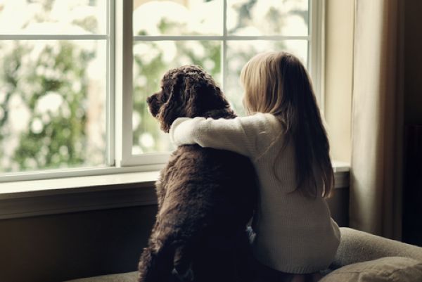 Furry friends! How to take care of your pets during the cold weather