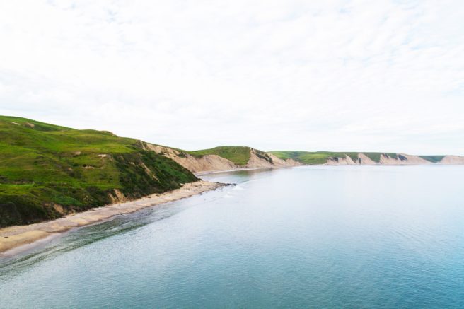 City slickers! Getting out for a walk can positively impact mental health