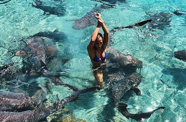 Image result for Katarina Elle Zarutskie