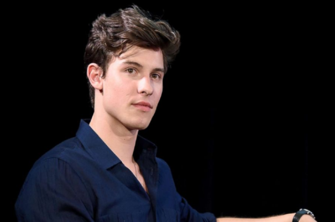 Shawn Mendes accused of transphobia after liking a tweet